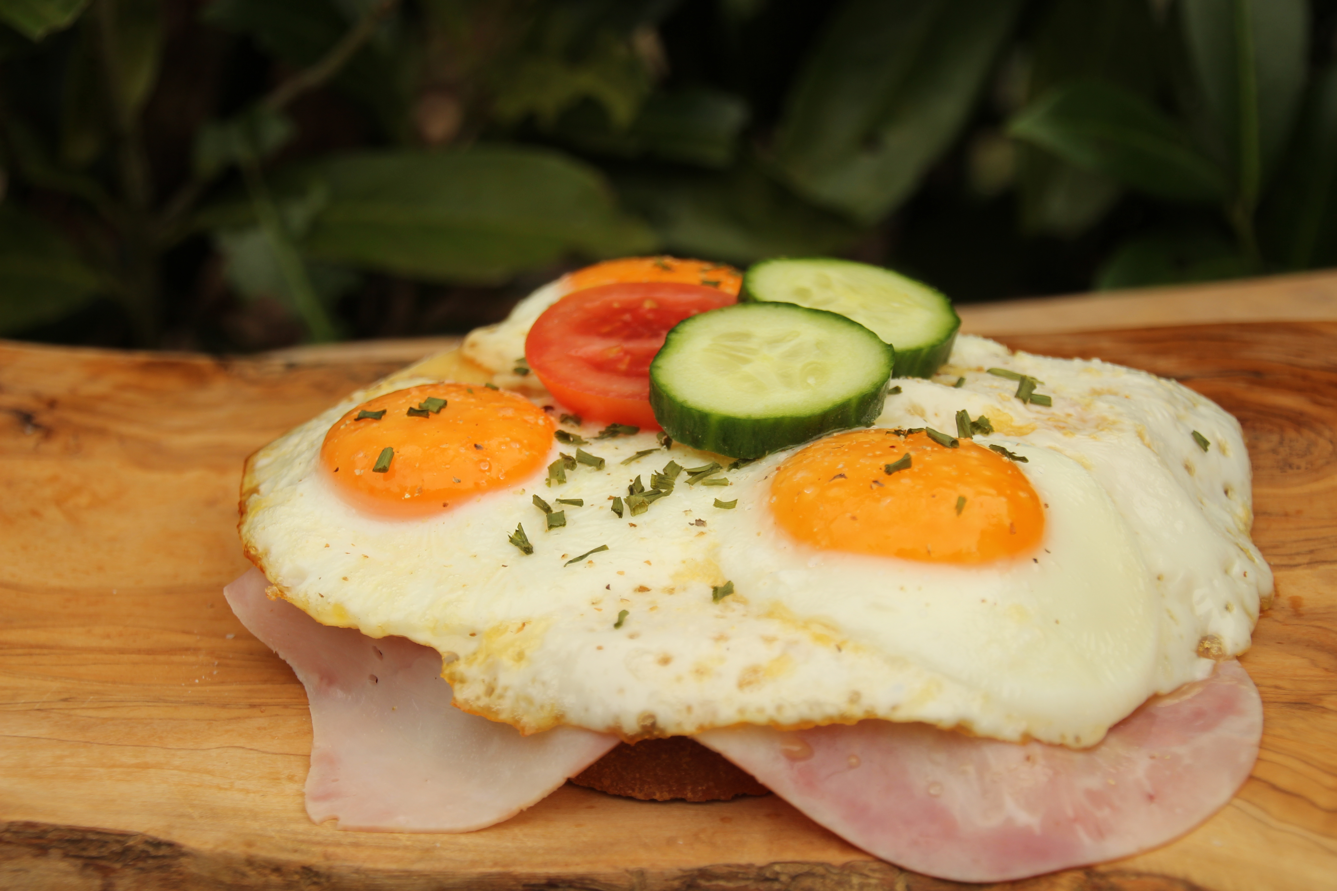 bistro t boshuis